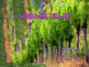 MÚSICAS KARAOKÊ GOSPEL